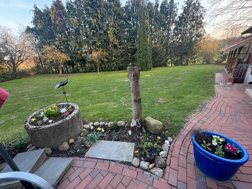 Foto - Freies Zimmer in Senioren Wohngemeinschaft