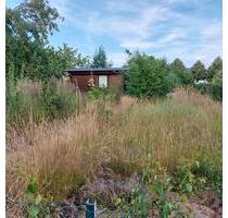 Garten (ohne Anbaupflicht) - 3.000,00 EUR Kaltmiete, ca.  0,00 m² in Mittweida (PLZ: 09648)