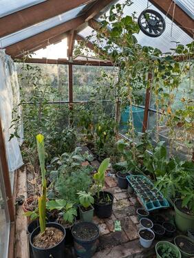 Foto - Grundst&uuml;ck zur Miete in Halle (Saale)