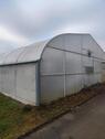 Foto - Gewächshaus mieten pachten Gärtnerei Anbaufläche Lager Gemüse