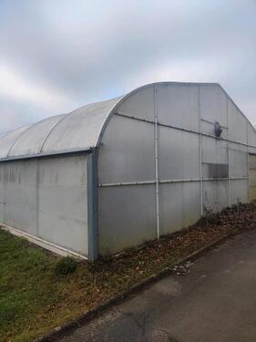 Foto - Gewächshaus mieten pachten Gärtnerei Anbaufläche Lager Gemüse