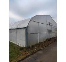 Gewächshaus mieten pachten Gärtnerei Anbaufläche Lager Gemüse - Göppingen Gewächshaus mieten pachten Gärtnerei Anbaufläche Lager Gemüse - Göppingen