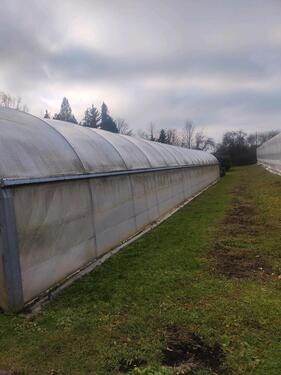 Foto - Grundst&uuml;ck in Göppingen zur Miete
