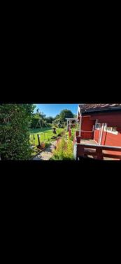 Foto - Schrebergarten Kleingarten Pachtgarten abzugeben