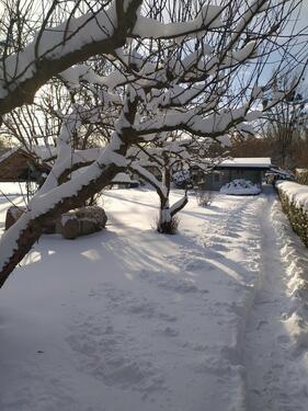 Foto - Bungalow in Nuthe-Urstromtal
