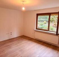 Erstbezug! Vollständig kernsanierte 2-Zimmer-EG-Wohnung - Mosbach