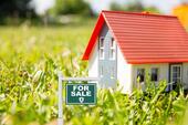 Foto - Mein Tiny House? Wir haben das passende Grundstück!