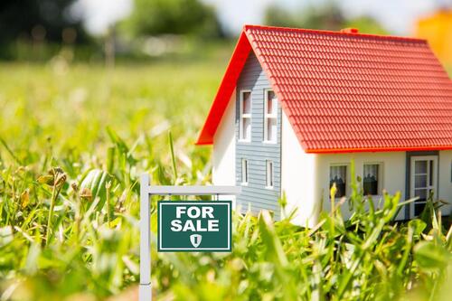 Foto - Mein Tiny House? Wir haben das passende Grundstück!