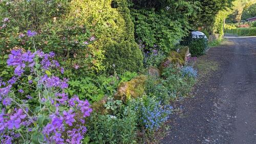 Foto - andere zur Miete in Laubach