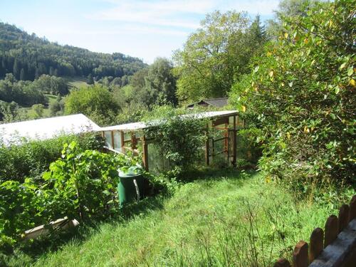 Foto - Grundst&uuml;ck in Suhl zur Miete