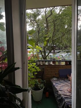 Foto - Wohnung in Kreuzberg zur Untermiete 01.11-.29.01.26