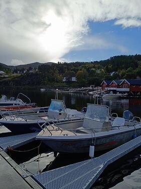 Foto - andere in Bleckede