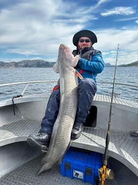 Foto - andere in Bleckede zur Miete