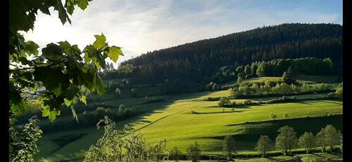 Foto - Etagenwohnung in Titisee-Neustadt zur Miete