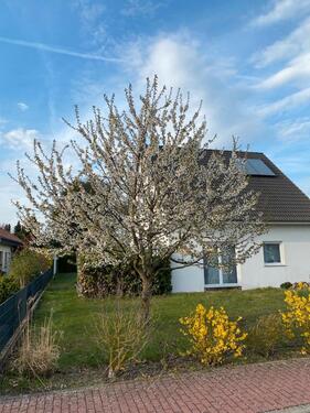 Foto - *Weihnachts Special* Einfamilienhaus in ruhiger Lage, Vollkeller