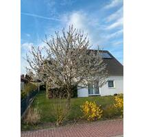 *Weihnachts Special* Einfamilienhaus in ruhiger Lage, Vollkeller - Wolfsburg Alt-Wolfsburg