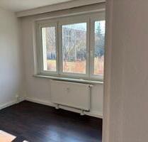 Helle 2-Raum-Whg mit 46 m² in gepflegtem Haus in ruhiger Lage - Leipzig Süd