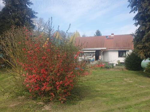 Foto - Einfamilienhaus zum Kaufen in Nossen