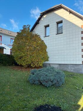 Foto - Einfamilienhaus zum Kaufen in Langenwetzendorf