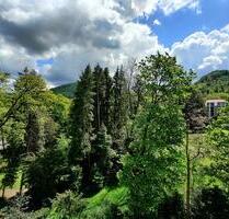 Traumwohnung in Traumlage zu verkaufen. - Bad Harzburg