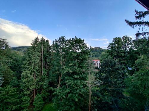 Foto - Etagenwohnung zum Kaufen in Bad Harzburg