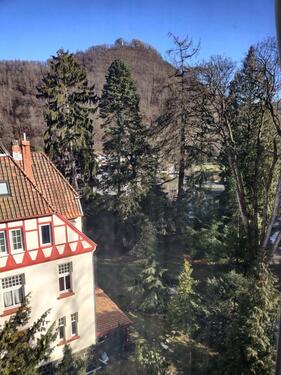 Foto - Etagenwohnung in Bad Harzburg
