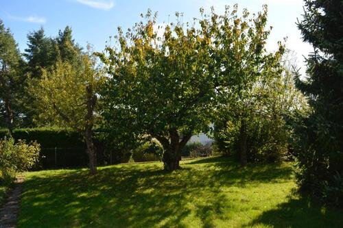Foto - 11 Zimmer Einfamilienhaus in Staufenberg