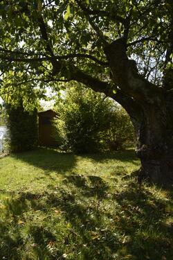 Foto - Einfamilienhaus in Staufenberg zum Kaufen