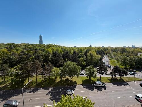 Foto - Frisch renovierte 1-Zimmer-Wohnung mit Parkblick und Domblick