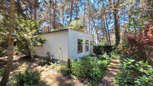Foto - 3 Zimmer Bungalow in Märkische Heide