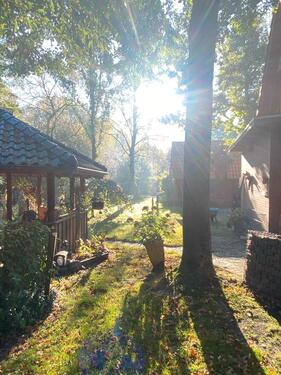 Foto - andere in Apen