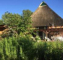 Provisionsfrei: Liebevoll saniertes Fachwerkhaus mit Reet - Nusse Provisionsfrei: Liebevoll saniertes Fachwerkhaus mit Reet - Nusse