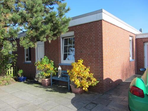 Foto - Bungalows mit Hund direkt hinter dem Nordsee Deich