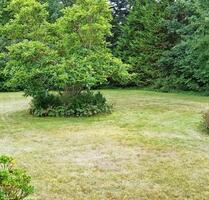 Charmantes Haus in 2. Lage in Großenwiehe mit großem Garten