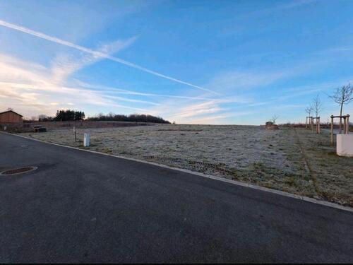 Foto - 930m² voller Möglichkeiten ( Neubaugebiet Zedtwitz )