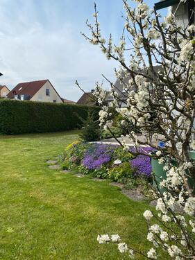 Foto - 8 Zimmer Einfamilienhaus zum Kaufen in Neuburg an der Donau