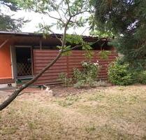 Verkaufe Bungalow auf Pachtgrundstück in Kleingartensiedlung - Uebigau-Wahrenbrück