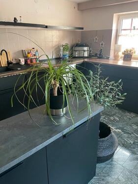 Foto - Etagenwohnung in Hofgeismar zur Miete