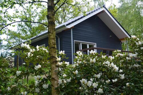 Foto - andere zur Miete in Wiefelstede