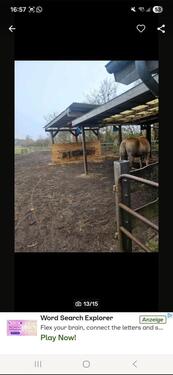 Foto - Wohnung mit pferdehaltung - 950,00&nbsp;EUR Kaltmiete, ca.&nbsp; 140,00&nbsp;m&sup2;