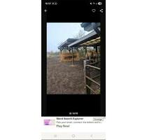 Wohnung mit pferdehaltung - 950,00&nbsp;EUR Kaltmiete, ca.&nbsp; 140,00&nbsp;m&sup2; in Handewitt (PLZ: 24983)