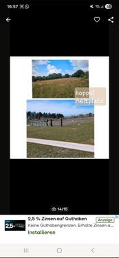 Foto - 4 Zimmer Etagenwohnung zur Miete in Handewitt