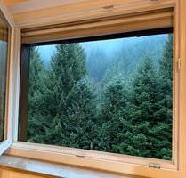 Familienfreundliche 3-Zimmer-Wohnung mit großem Balkon im Grünen - Münstertal/Schwarzwald