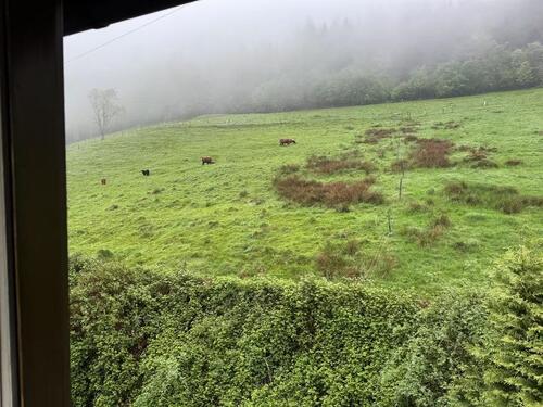 Foto - Dachgeschoßwohnung in Münstertal/Schwarzwald zur Miete