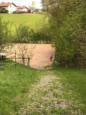 Foto - Einfamilienhaus in Konzell zum Kaufen
