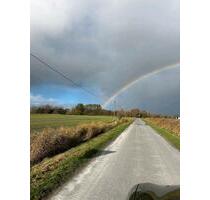 Wohnung in grüner Oase - 900,00 EUR Kaltmiete, in Oldenswort (PLZ: 25870)