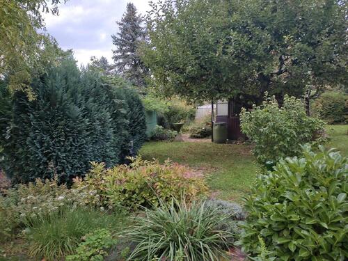 Foto - Grundst&uuml;ck in Frankfurt am Main