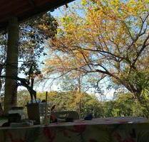 Panama auf dem Land - Haus auf kleinem Grundstück - Berlin Pankow