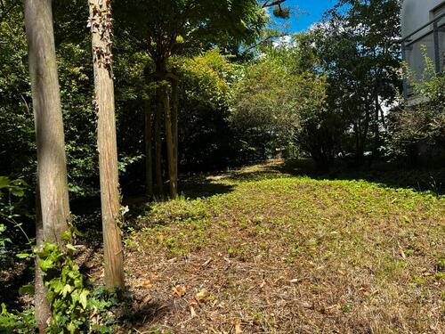 Foto - 4 Zimmer Hochparterre zum Kaufen in Darmstadt