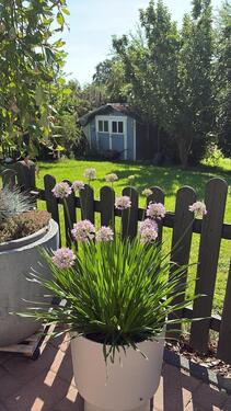 Foto - Einfamilienhaus in Nümbrecht zum Kaufen